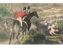 19th Century English Equestrian Color Engraving, Moore's Tally Ho: To The Sports, The Noble Tips