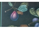 After George Brookshaw (British, 1751-1823) Prints Of Drupes