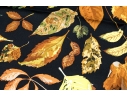 Hermès Striking Fall Leaves Motif Brown And Black Toned Silk Scarf