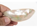 Decorative Horn And Shell Serving Utensils