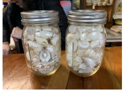 Black Rock Galleries Black Rock Galleries