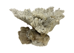 Black Rock Galleries Black Rock Galleries