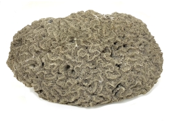 Black Rock Galleries Black Rock Galleries