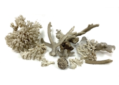 Black Rock Galleries Black Rock Galleries