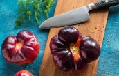 BRG Blog - End of Summer Recipes - photo by Valeria Boltneva from Pexels  | BRG